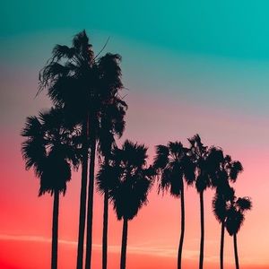 Meet your Posher, Han ling